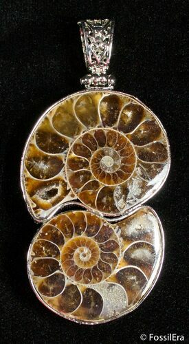 Ammonite Pendant #2709